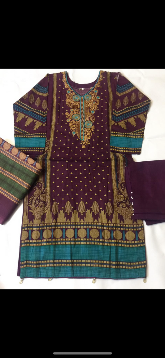 Tenue traditionnelle indo-pakistanaise hiver